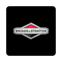 Briggs & Stratton